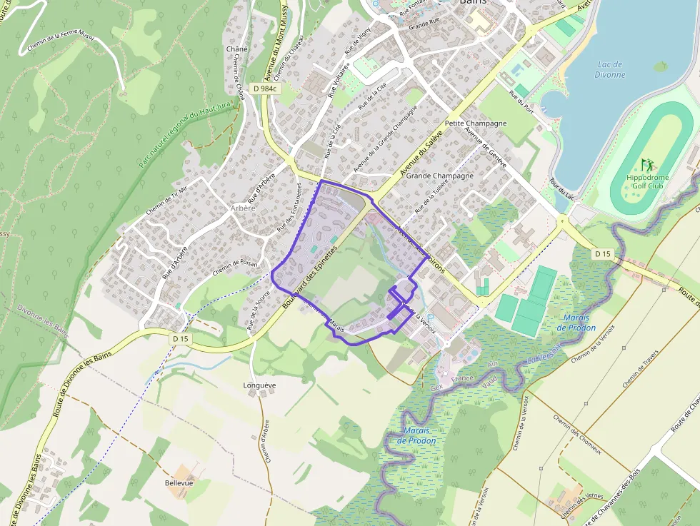 Appartement 44 m² deux pieces à vendre à Divonne-les-Bains