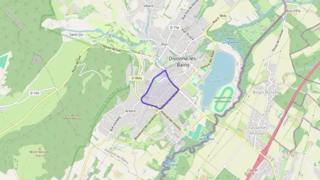 Appartement 37 m² deux pieces à vendre à Divonne-les-Bains