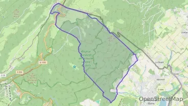 Appartement de quatre pièces 115 m² à vendre à Divonne-les-Bains Appartement de quatre pièces 115 m² à vendre à Divonne-les-Bains