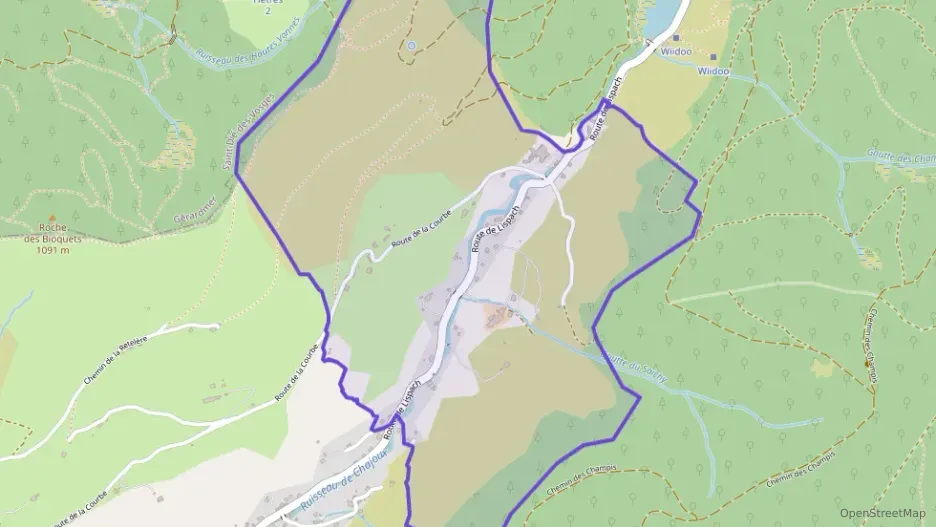 Appartement 78 m² quatre pièces à vendre à La Bresse