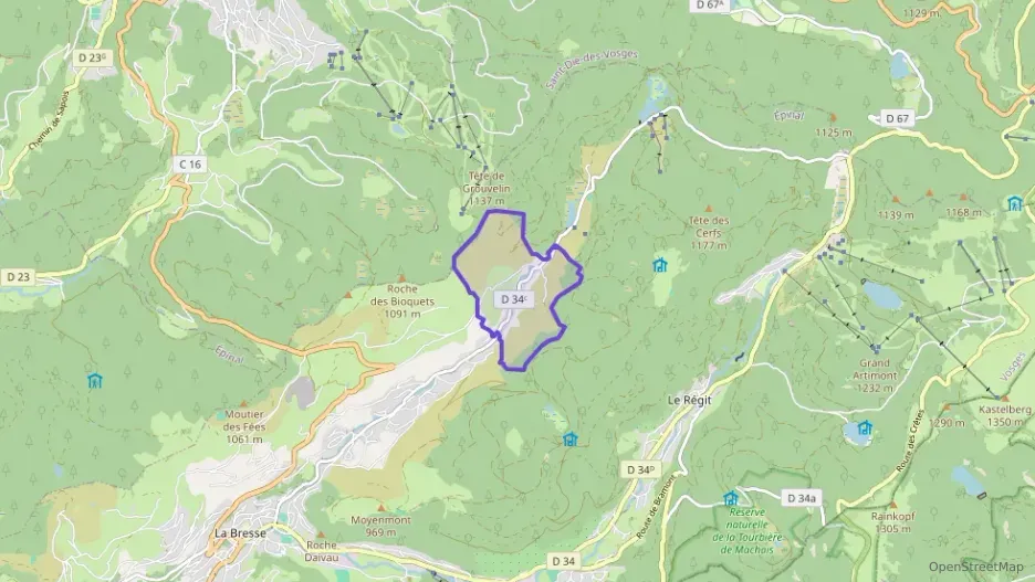 Appartement 78 m² quatre pièces à vendre à La Bresse