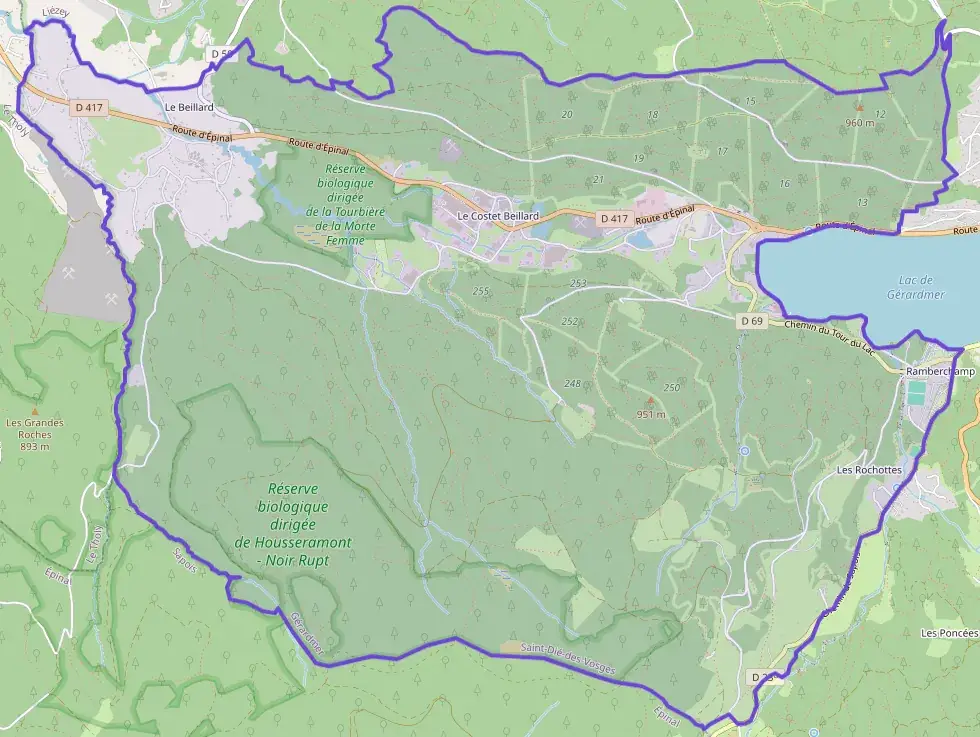 Appartement 50 m² quatre pièces à vendre à Gérardmer