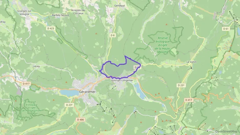 Appartement 80 m² quatre pièces à vendre à Xonrupt-Longemer