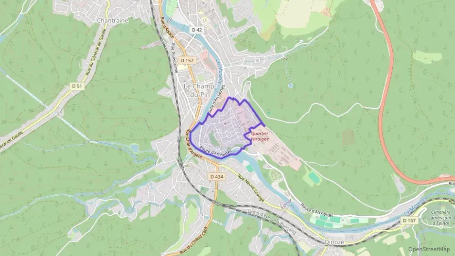 Appartement 155 m² cinq pièces à vendre à Épinal Appartement 155 m² cinq pièces à vendre à Épinal