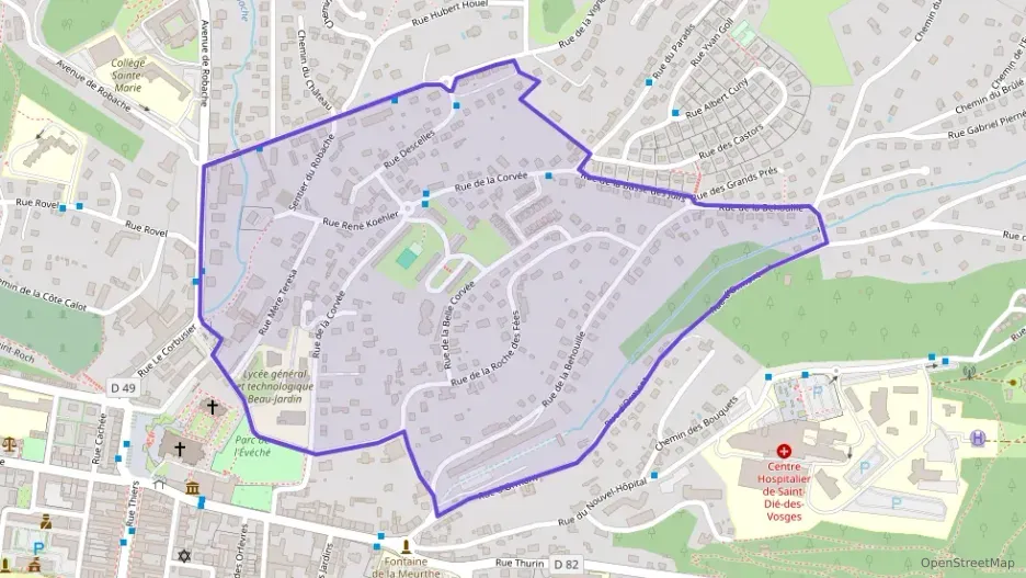 Appartement 100 m² cinq pièces à vendre à Saint-Dié-des-Vosges Appartement 100 m² cinq pièces à vendre à Saint-Dié-des-Vosges