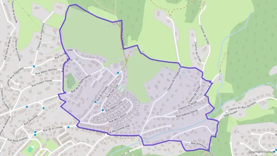 Appartement 125 m² quatre pièces à vendre à Saint-Dié-des-Vosges Appartement 125 m² quatre pièces à vendre à Saint-Dié-des-Vosges