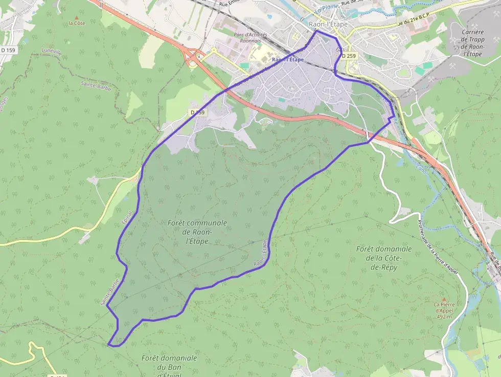 Appartement 46 m² deux pieces à vendre à Raon-l`Étape