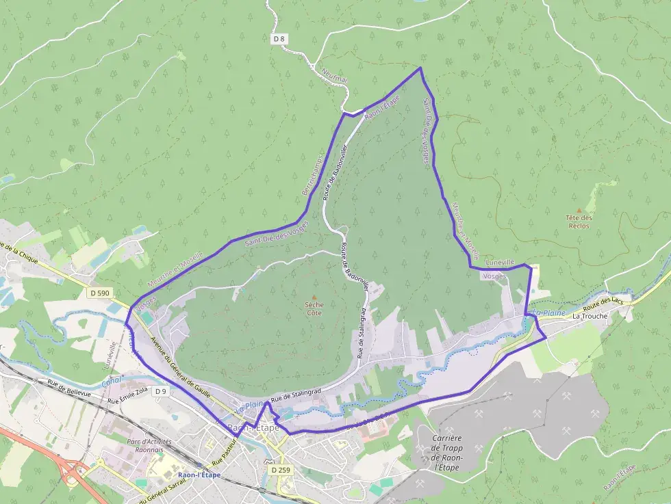 Appartement 49 m² deux pieces à vendre à Raon-l`Étape