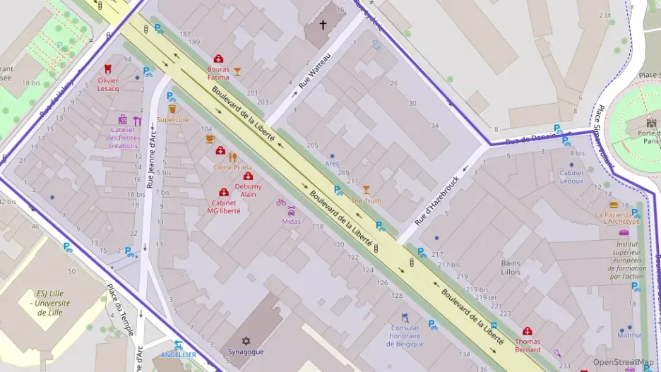 Appartement 59 m² deux pieces à vendre à Lille Appartement 59 m² deux pieces à vendre à Lille