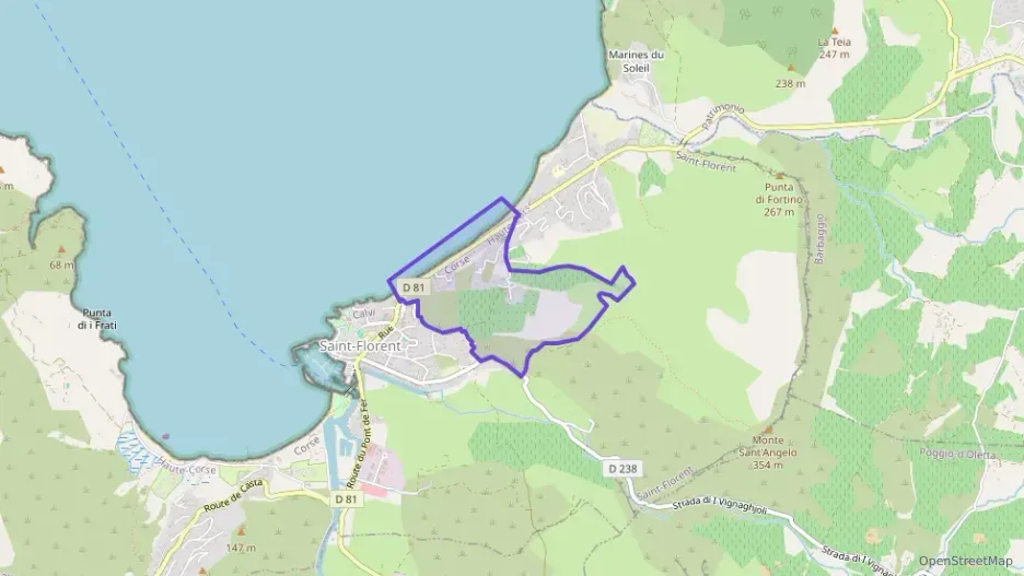 Appartement 45 m² deux pieces à vendre à Saint-Florent Appartement 45 m² deux pieces à vendre à Saint-Florent