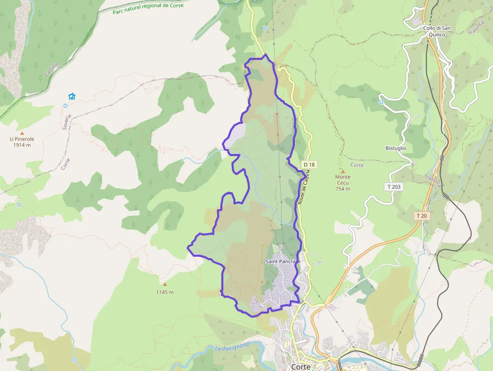 Appartement 28 m² une piece à vendre à Corte