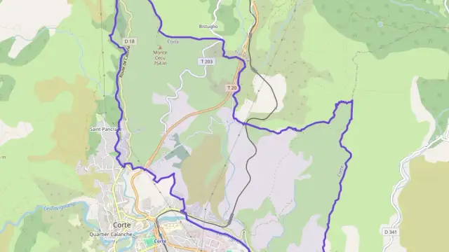 Appartement 25 m² une piece à vendre à Corte