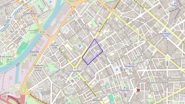 Appartement 137 m² 5 pièces à vendre à Lille