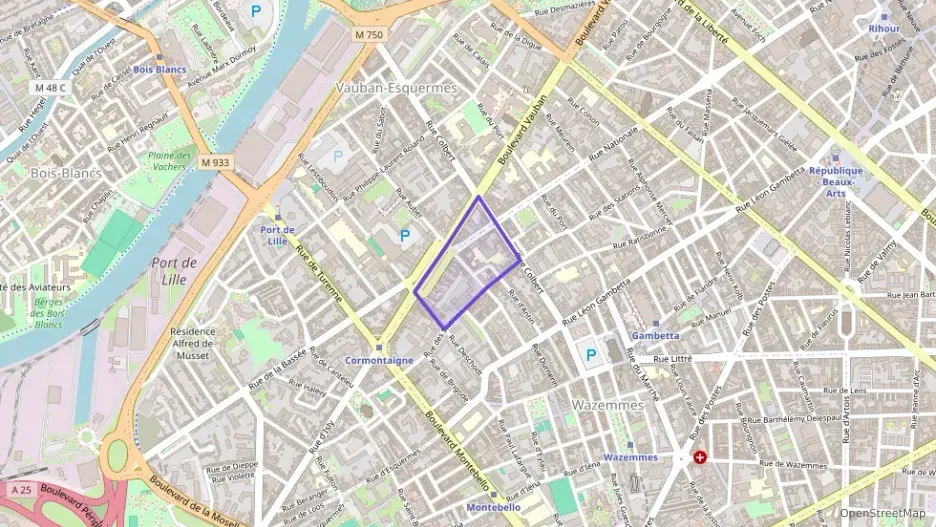 Appartement 44 m² deux pieces à vendre à Lille