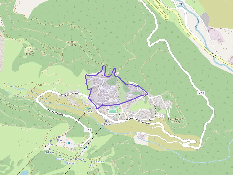 Appartement 24 m² une piece à vendre à Saint-Étienne-de-Tinée