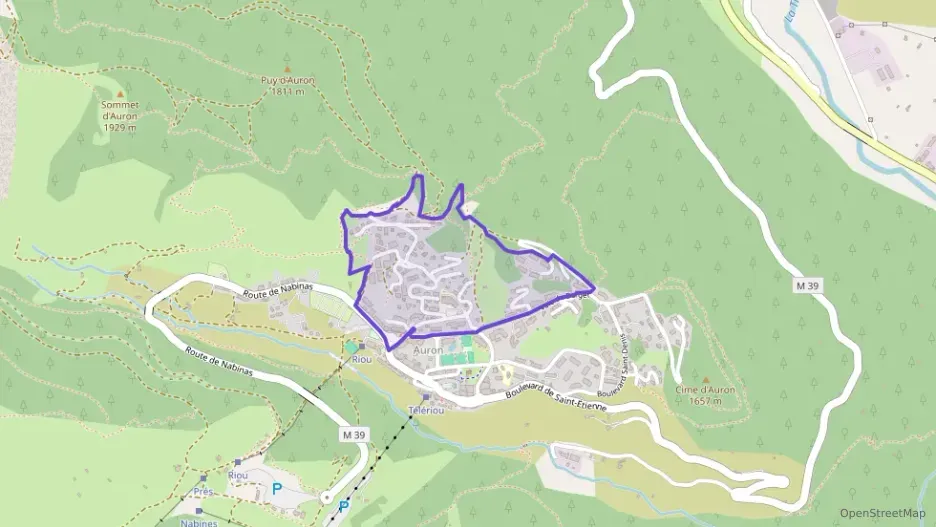 Appartement 24 m² une piece à vendre à Saint-Étienne-de-Tinée