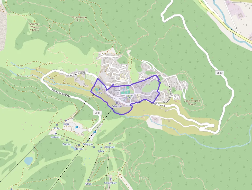 Appartement 50 m² deux pieces à vendre à Saint-Étienne-de-Tinée