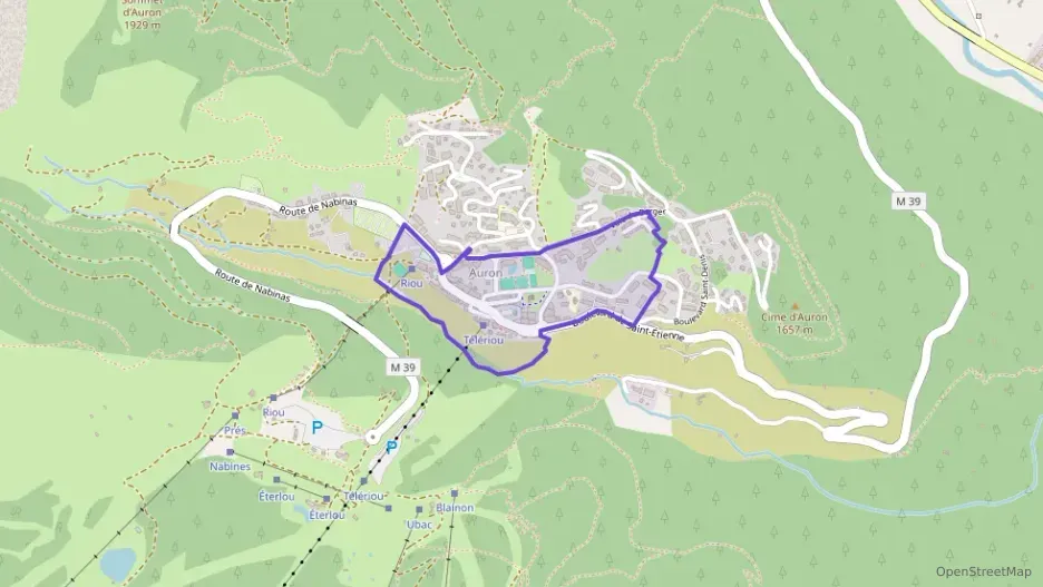 Appartement 31 m² une piece à vendre à Saint-Étienne-de-Tinée