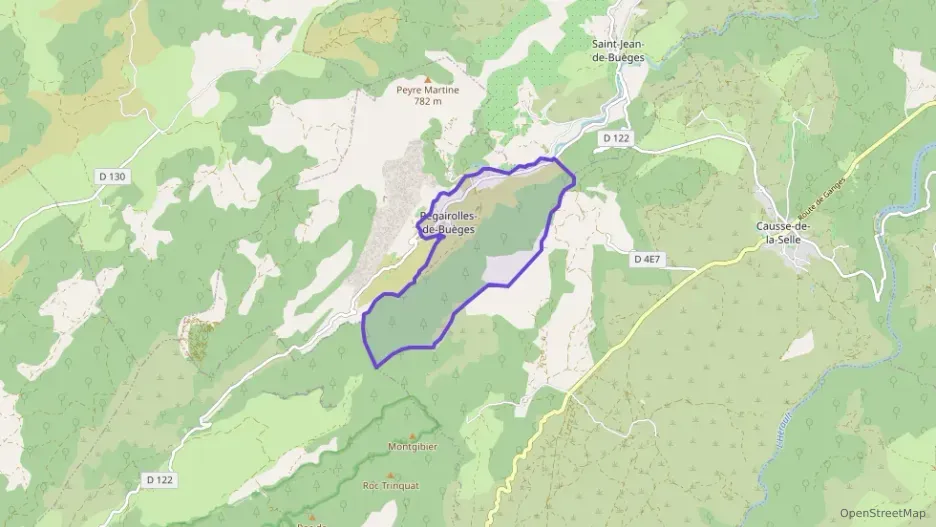 Appartement 50 m² une piece à vendre à Pégairolles-de-Buèges