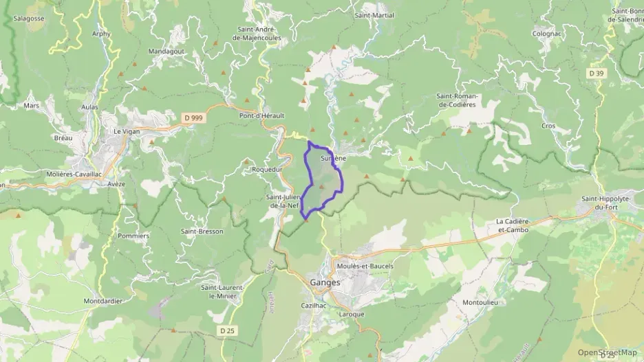 Appartement 110 m² quatre pièces à vendre à Sumène