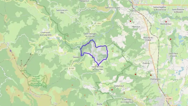 Appartement 153 m² 5 pièces à vendre à Saint-Bonnet-le-Courreau