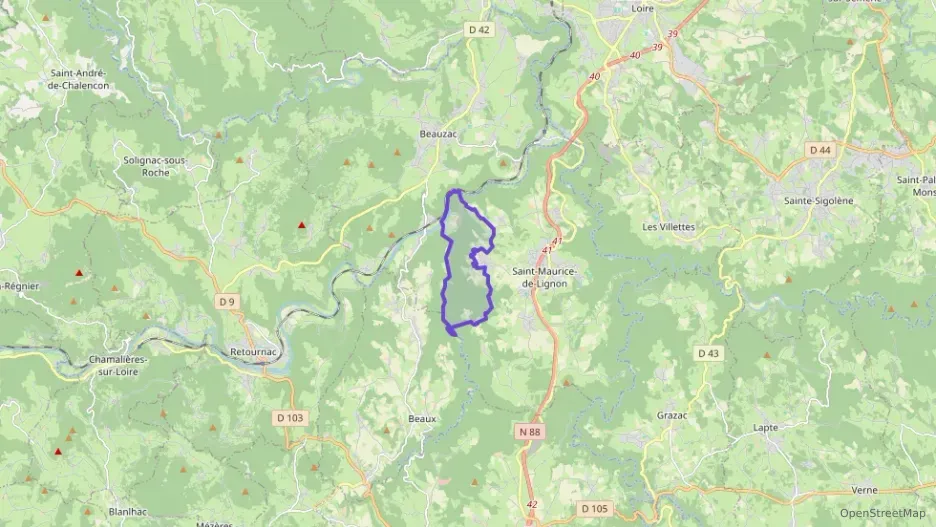 Appartement 47 m² deux pieces à vendre à Saint-Maurice-de-Lignon