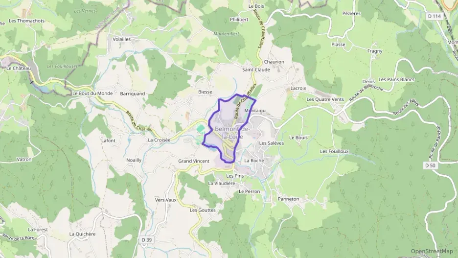 Appartement 42 m² trois pièces à vendre à Belmont-de-la-Loire Appartement 42 m² trois pièces à vendre à Belmont-de-la-Loire