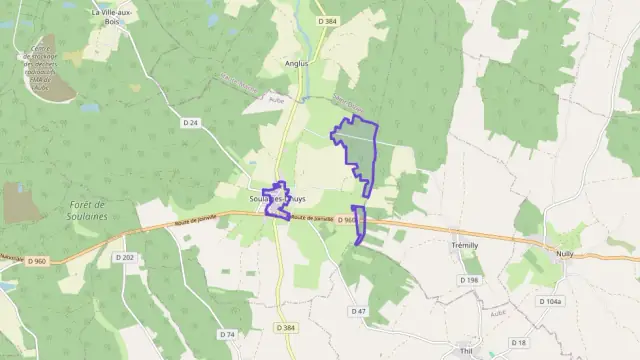 Appartement 91 m² quatre pièces à vendre à Soulaines-Dhuys