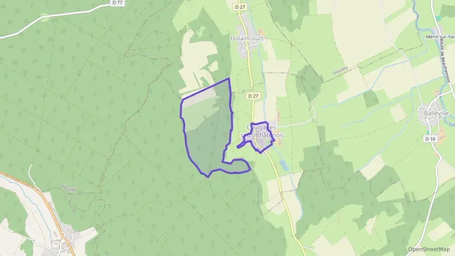 Appartement 41 m² une piece à vendre à Courcelles-sous-Châtenois