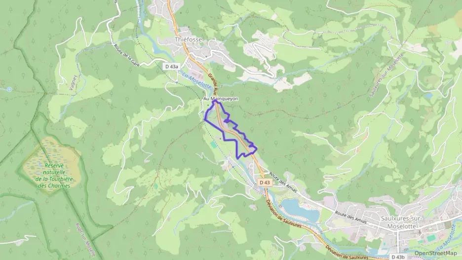 Appartement 134 m² cinq pièces à vendre à Saulxures-sur-Moselotte Appartement 134 m² cinq pièces à vendre à Saulxures-sur-Moselotte