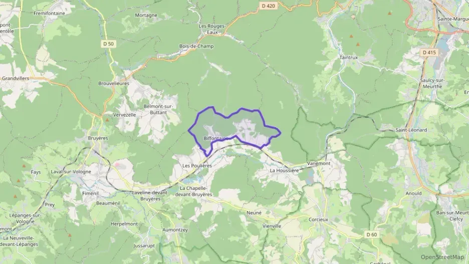 Appartement 100 m² cinq pièces à vendre à Biffontaine Appartement 100 m² cinq pièces à vendre à Biffontaine