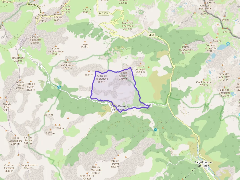 Appartement 50 m² une piece à vendre à Saint-Dalmas-le-Selvage