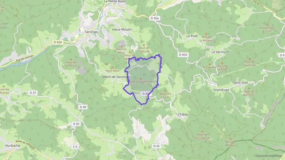 Appartement 40 m² deux pieces à vendre à Ménil-de-Senones Appartement 40 m² deux pieces à vendre à Ménil-de-Senones