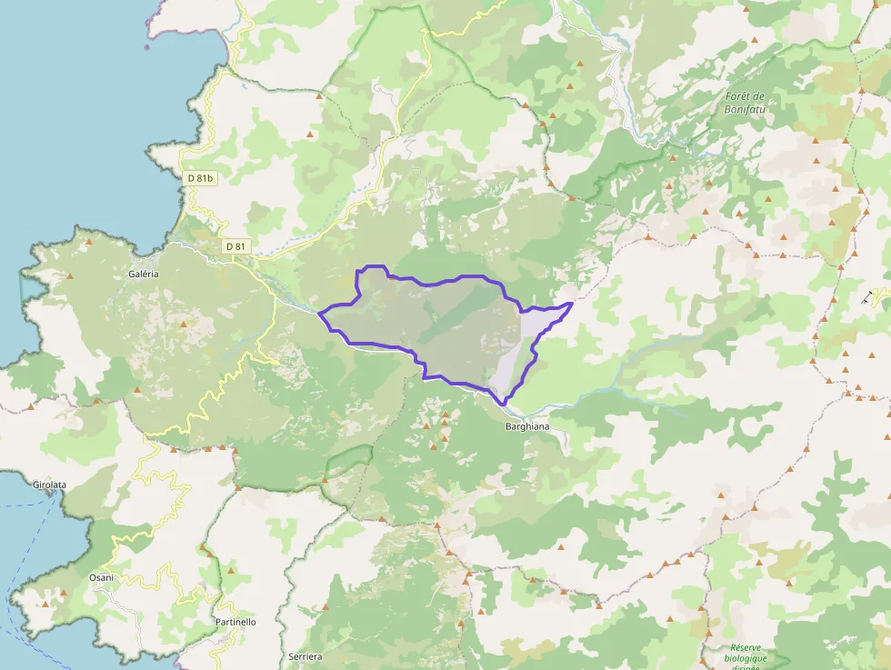 Appartement 30 m² deux pieces à vendre à Manso