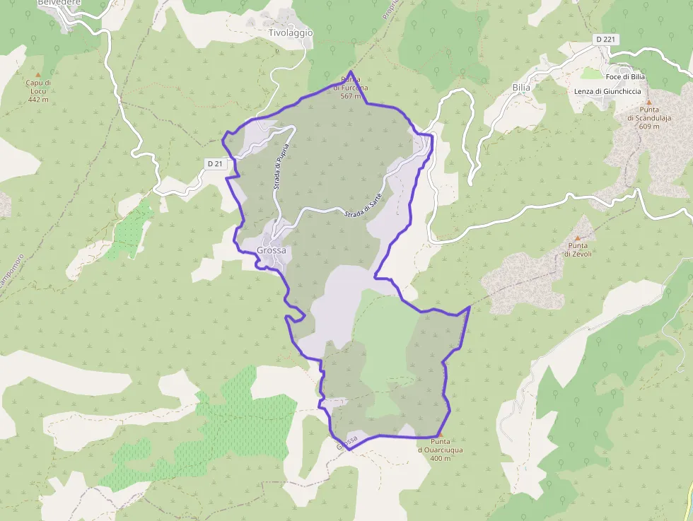 Appartement de deux pièces 50 m² à vendre  à Grossa