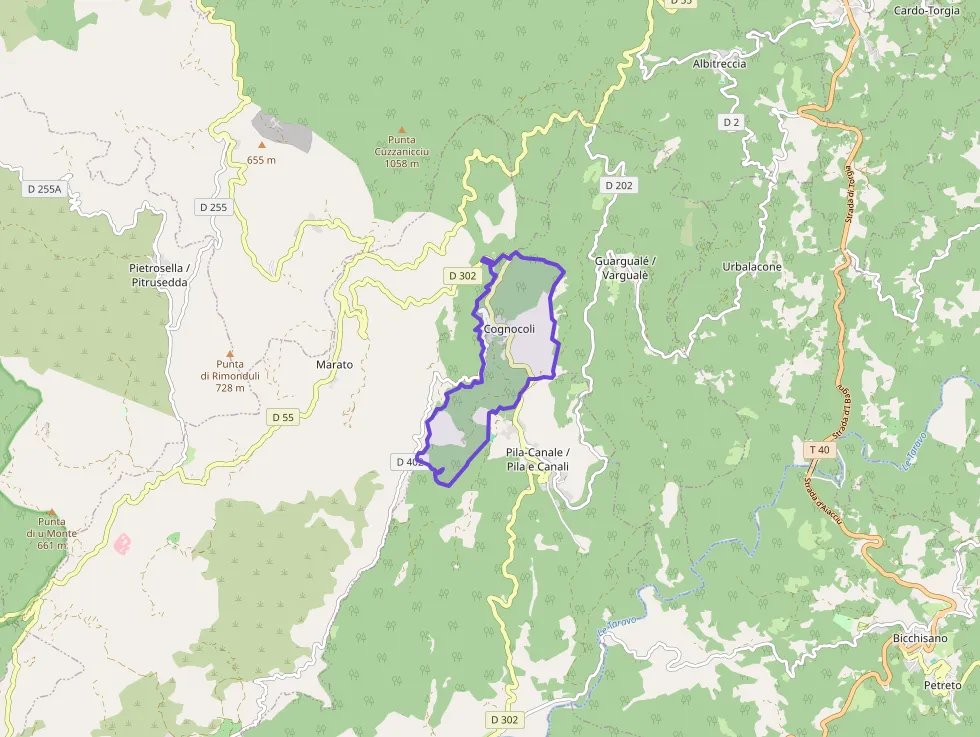 Appartement 30 m² deux pieces à vendre à Cognocoli-Monticchi