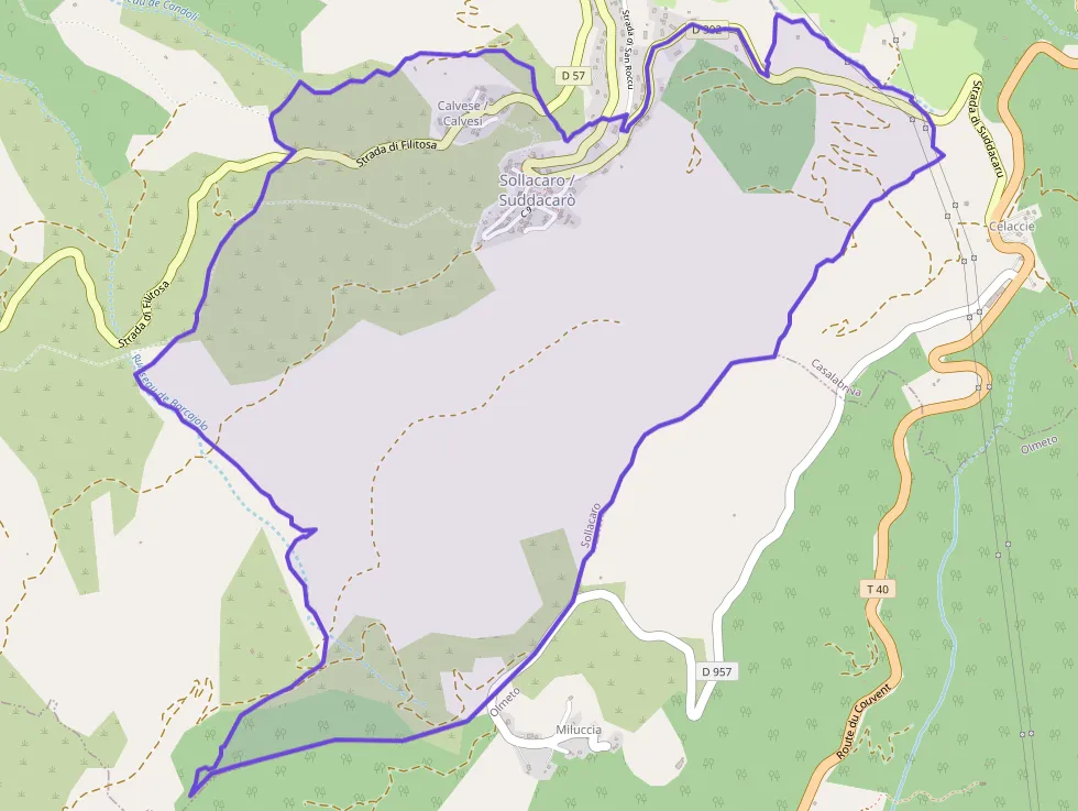 Appartement 36 m² deux pieces à vendre à Sollacaro