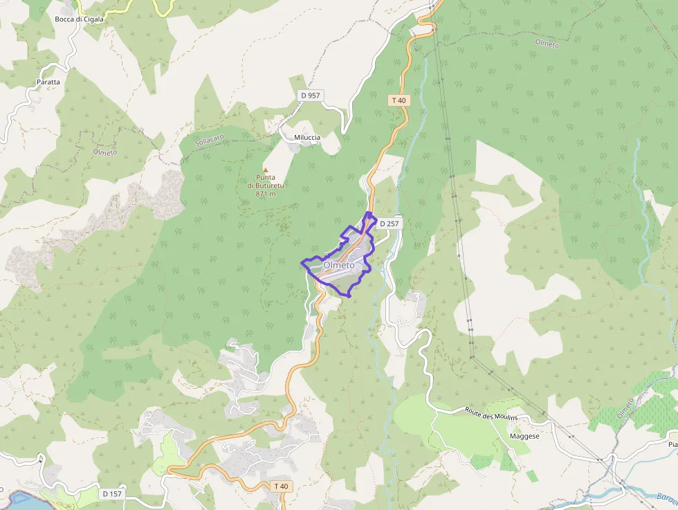Appartement 30 m² deux pieces à vendre à Olmeto