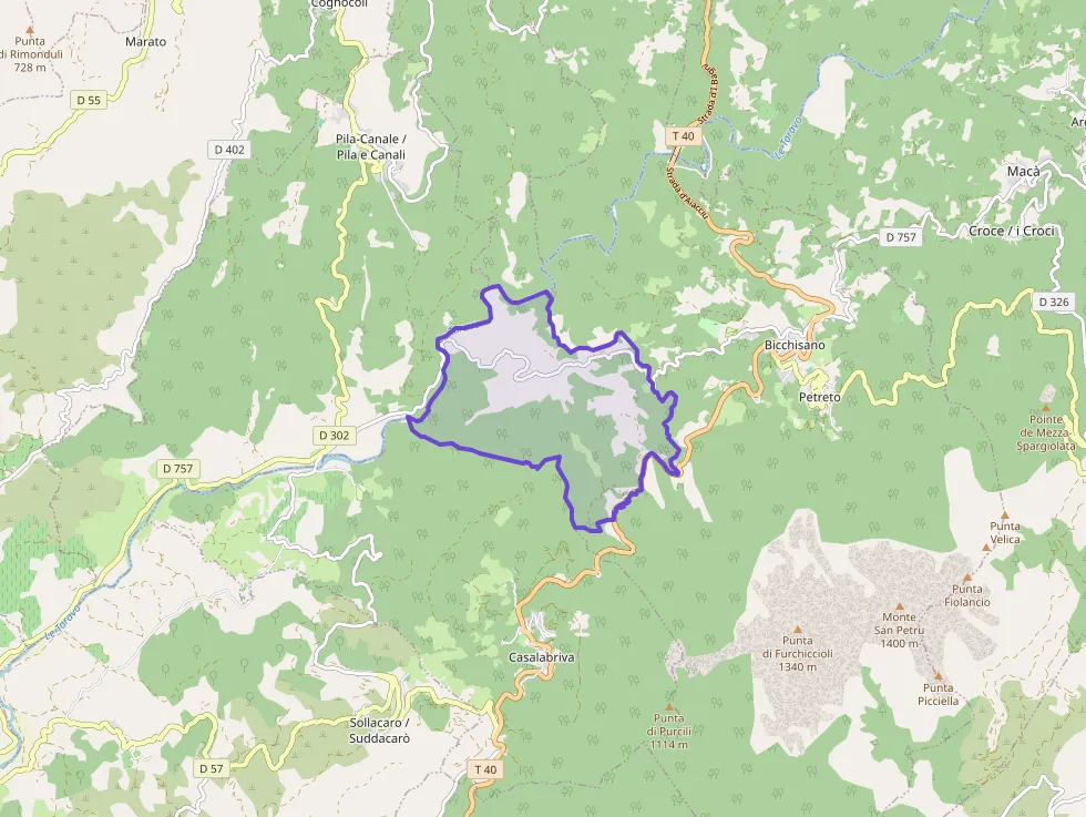 Appartement 32 m² une piece à vendre à Petreto-Bicchisano