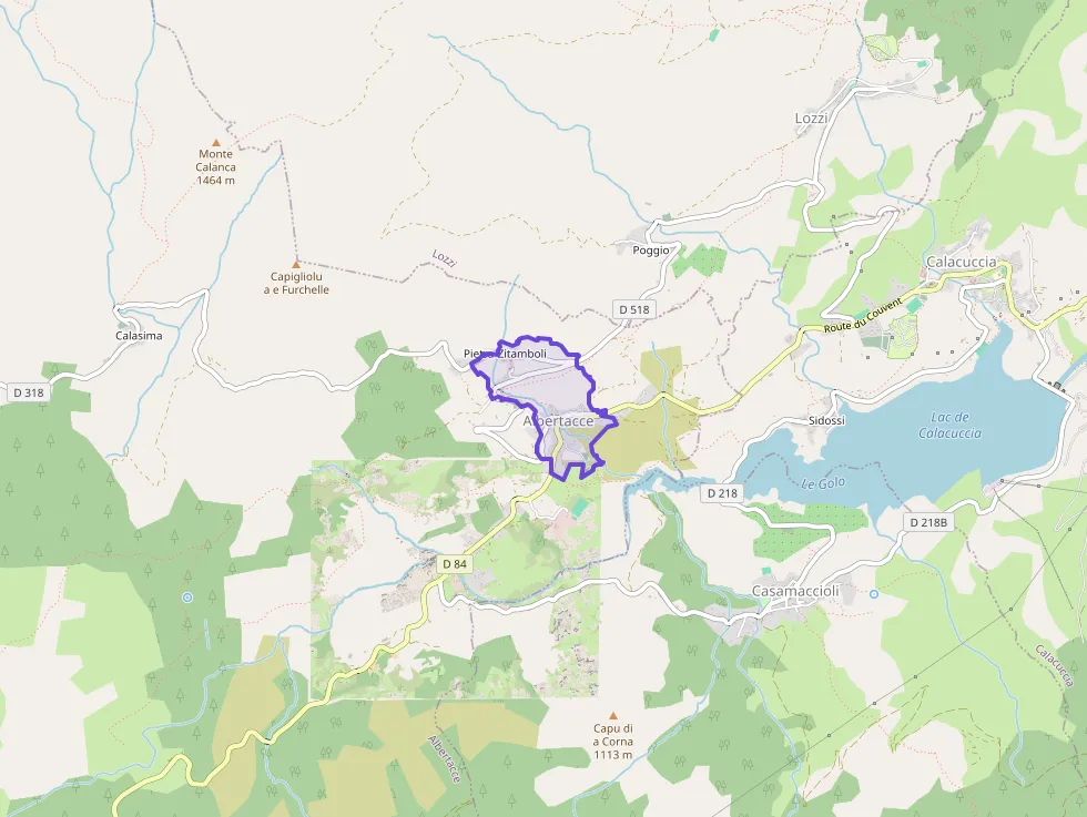 Appartement de 5+ pièces 90 m² à vendre  à Albertacce