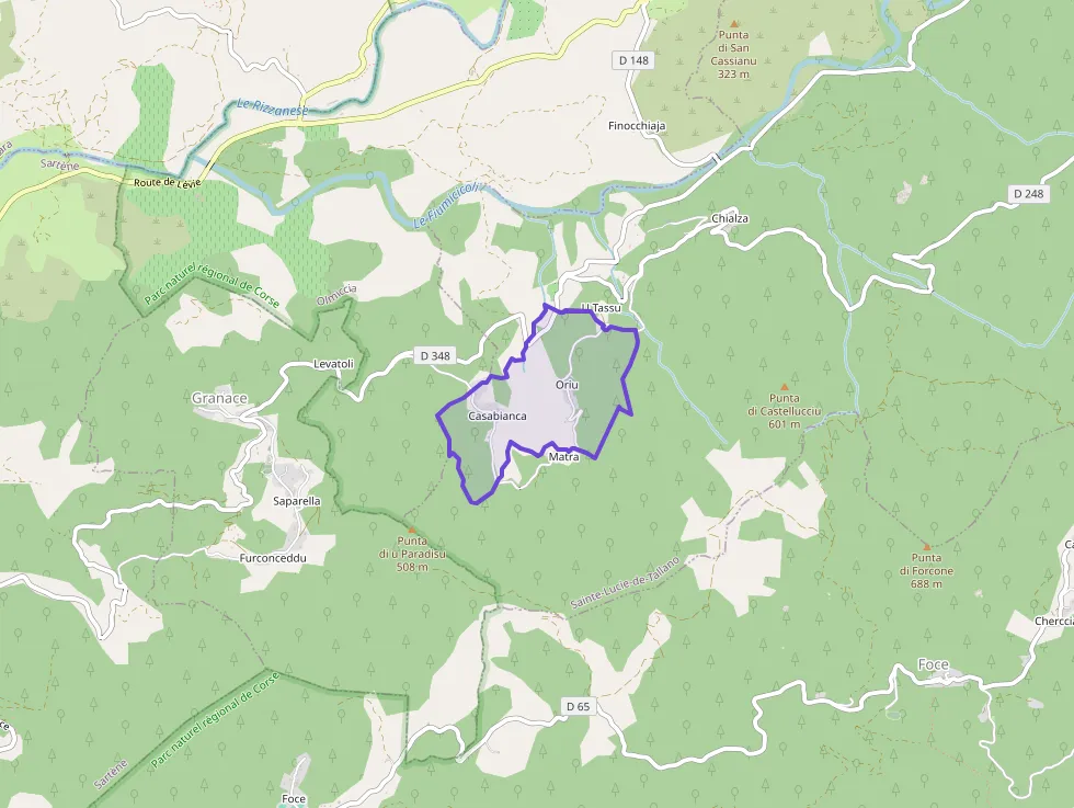 Appartement d'une pièce 28 m² à vendre  à Sainte-Lucie-de-Tallano