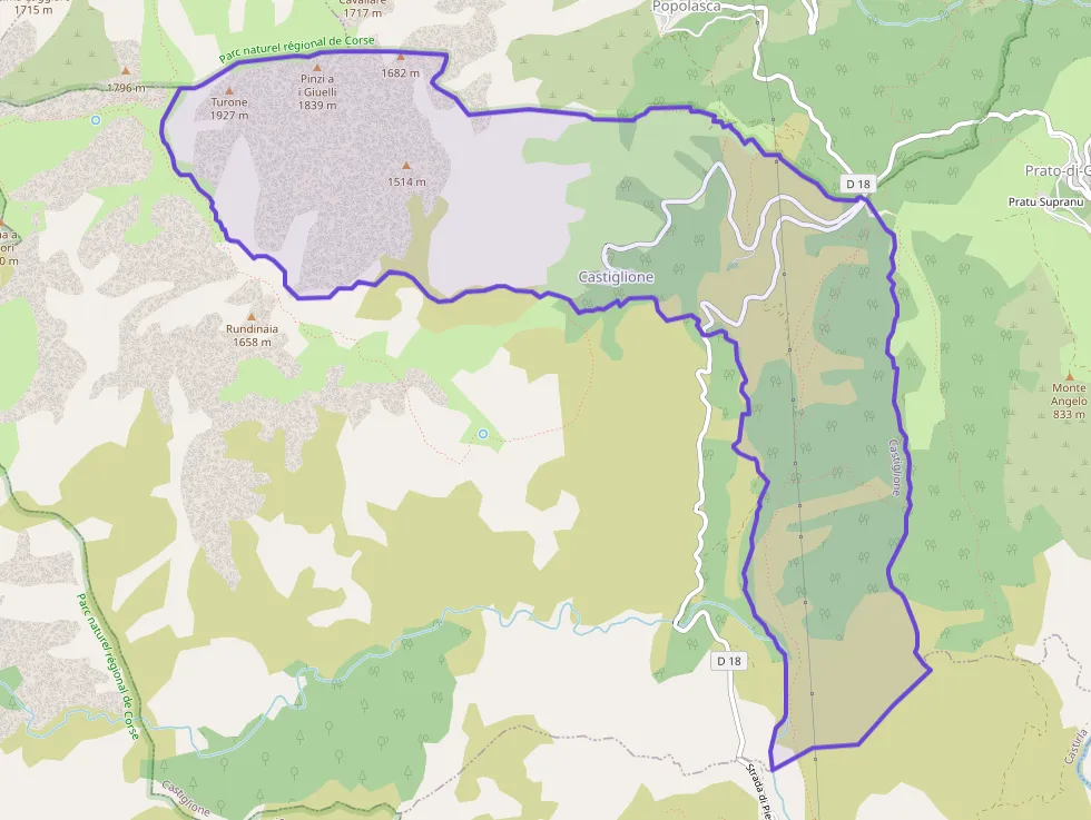 Appartement 22 m² une piece à vendre à Castiglione