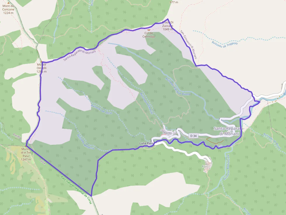 Appartement 20 m² une piece à vendre à Santa-Reparata-di-Moriani