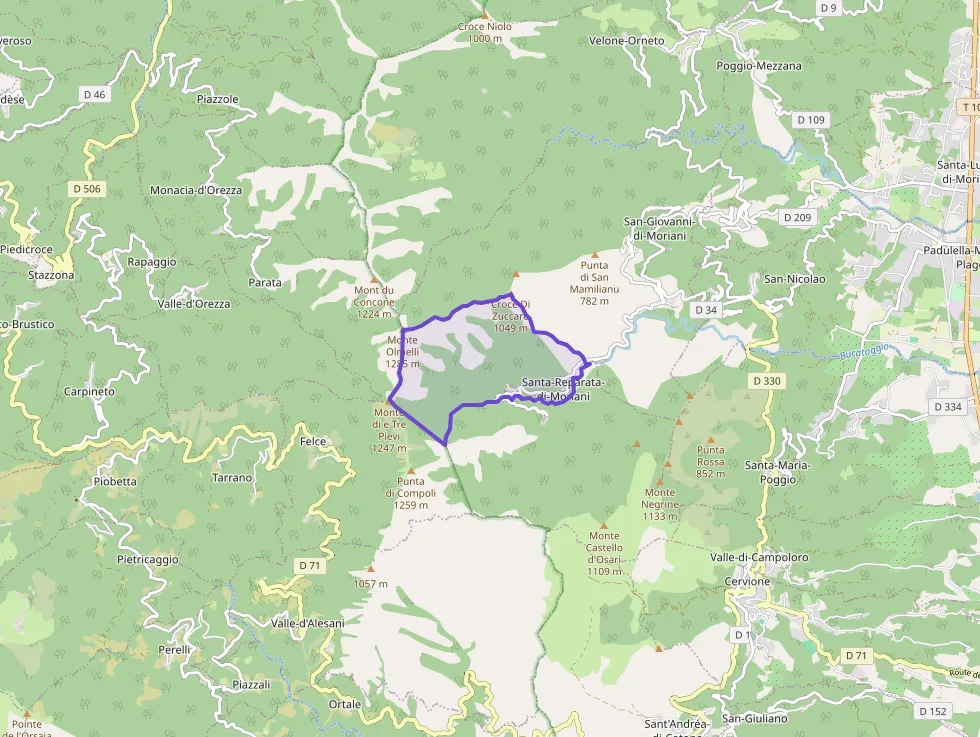 Appartement 20 m² une piece à vendre à Santa-Reparata-di-Moriani