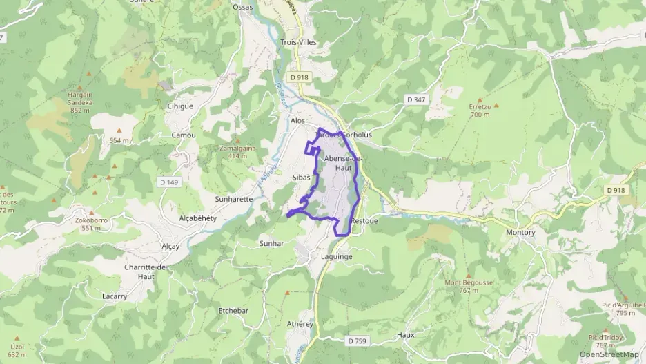 Appartement 80 m² une piece à vendre à Alos-Sibas-Abense