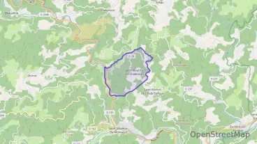 Appartement 35 m² deux pieces à vendre à Saint-Maurice-en-Chalencon